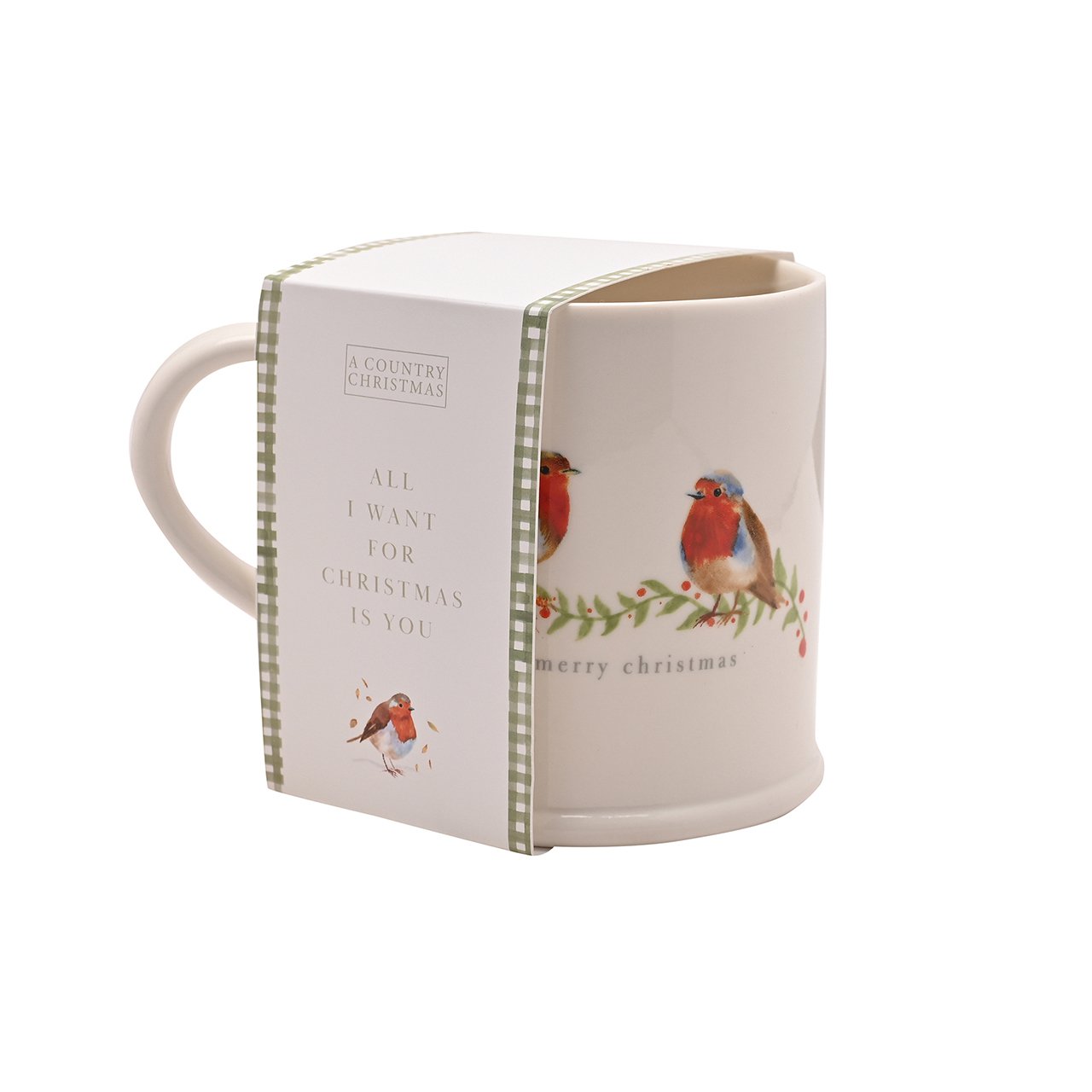 Robin Message Mug