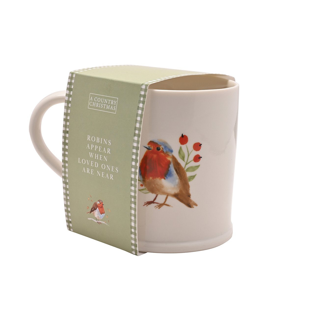 Robin Message Mug