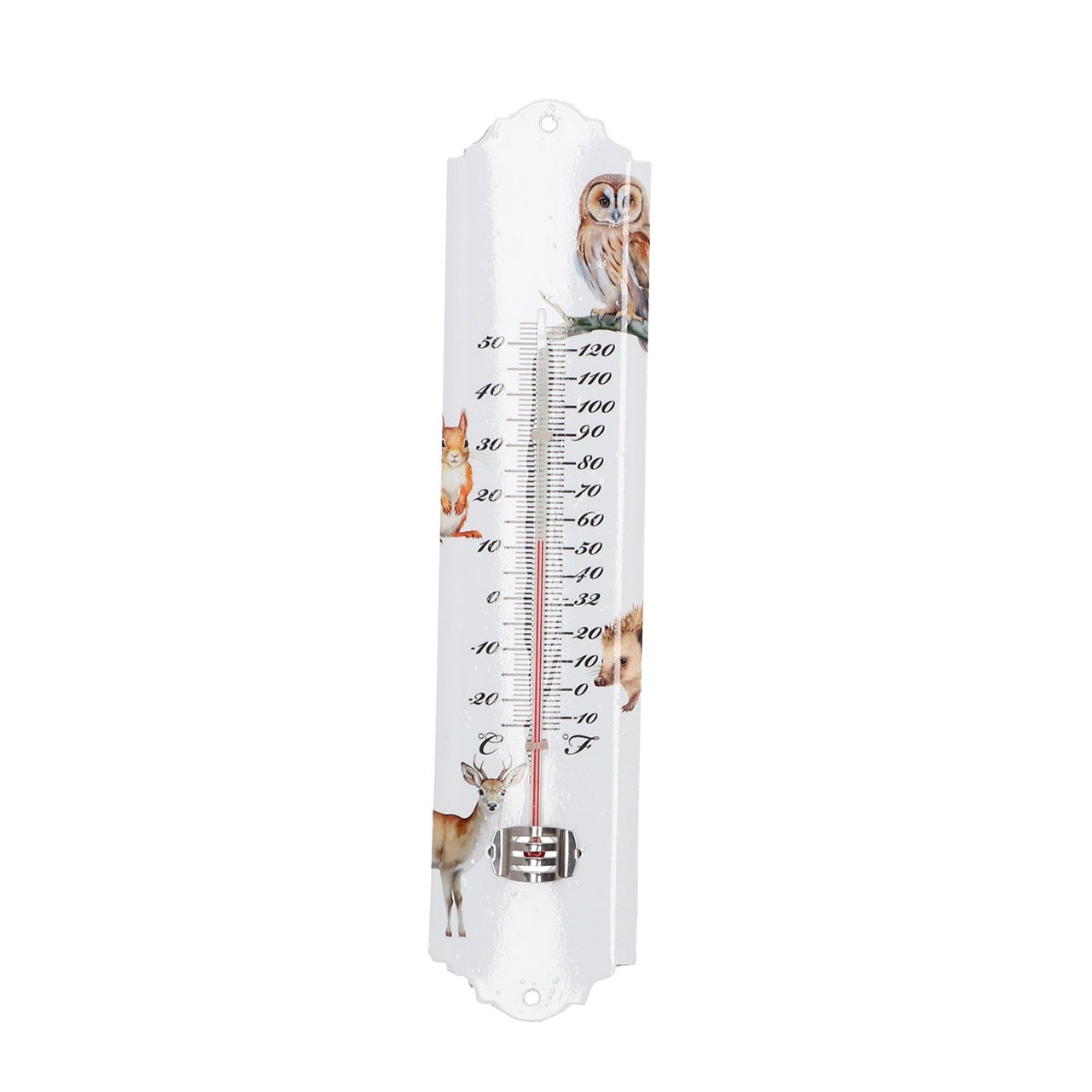Thermometer, Pack of 2