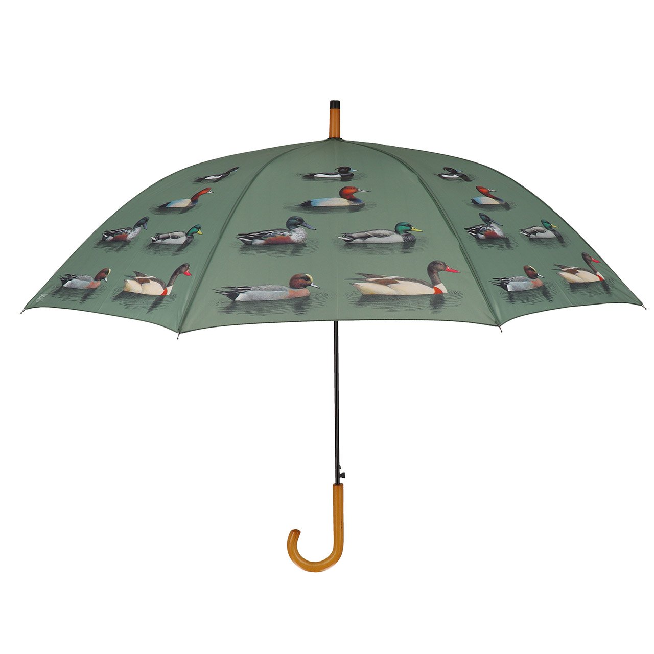 Nice Weather for Ducks Umbrella