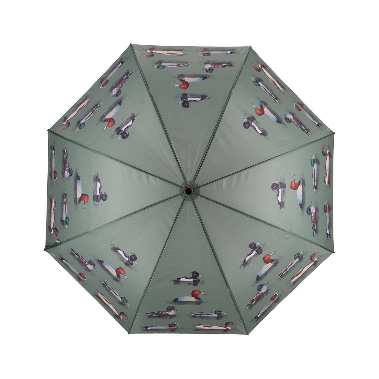 Nice Weather for Ducks Umbrella