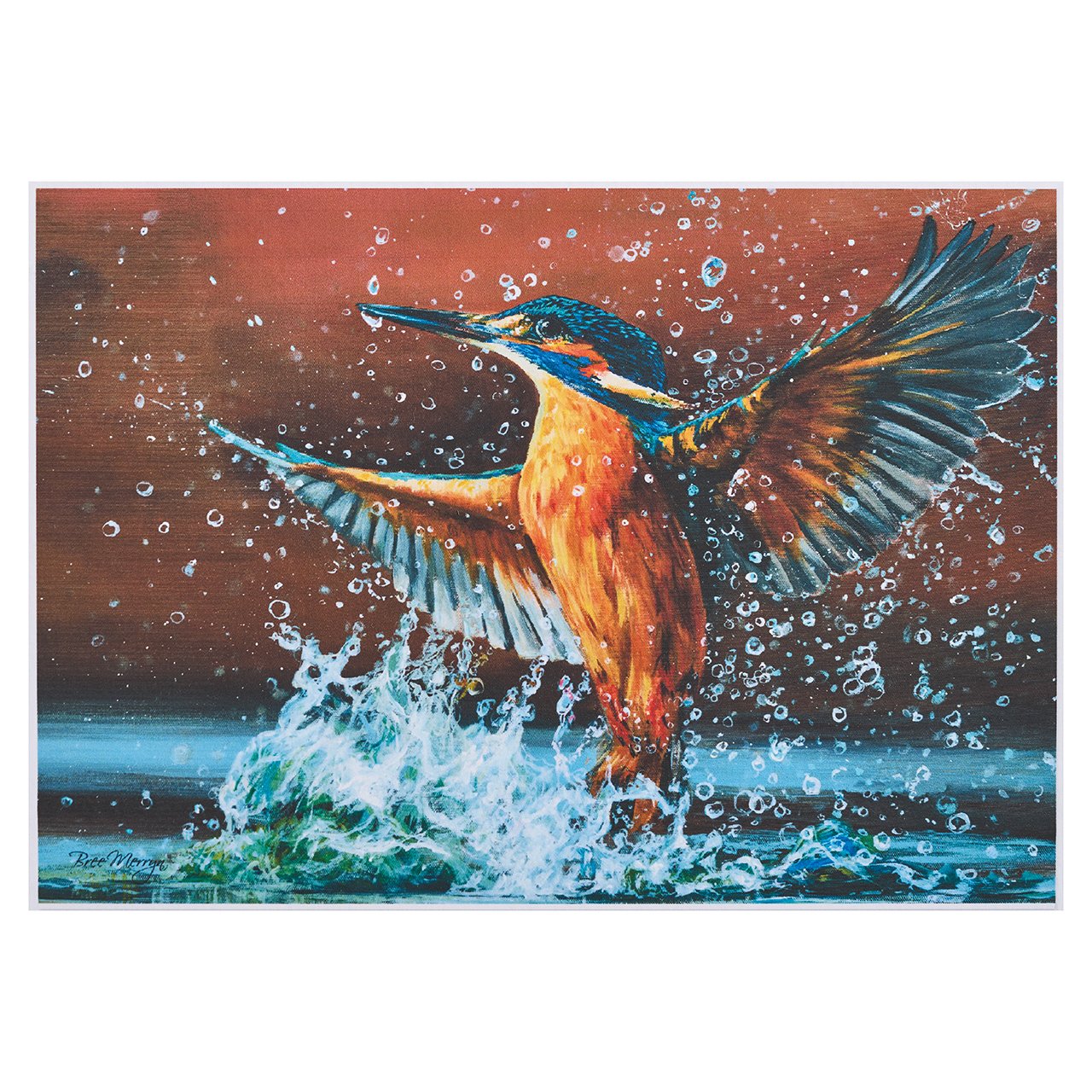 1000 Piece Kingfisher Puzzle