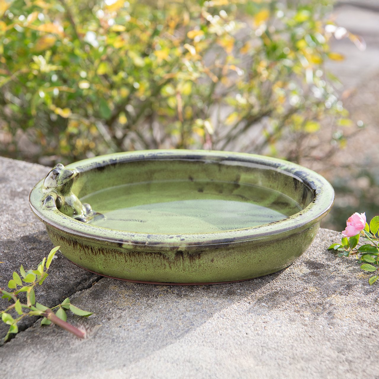 Frog Bird Bath