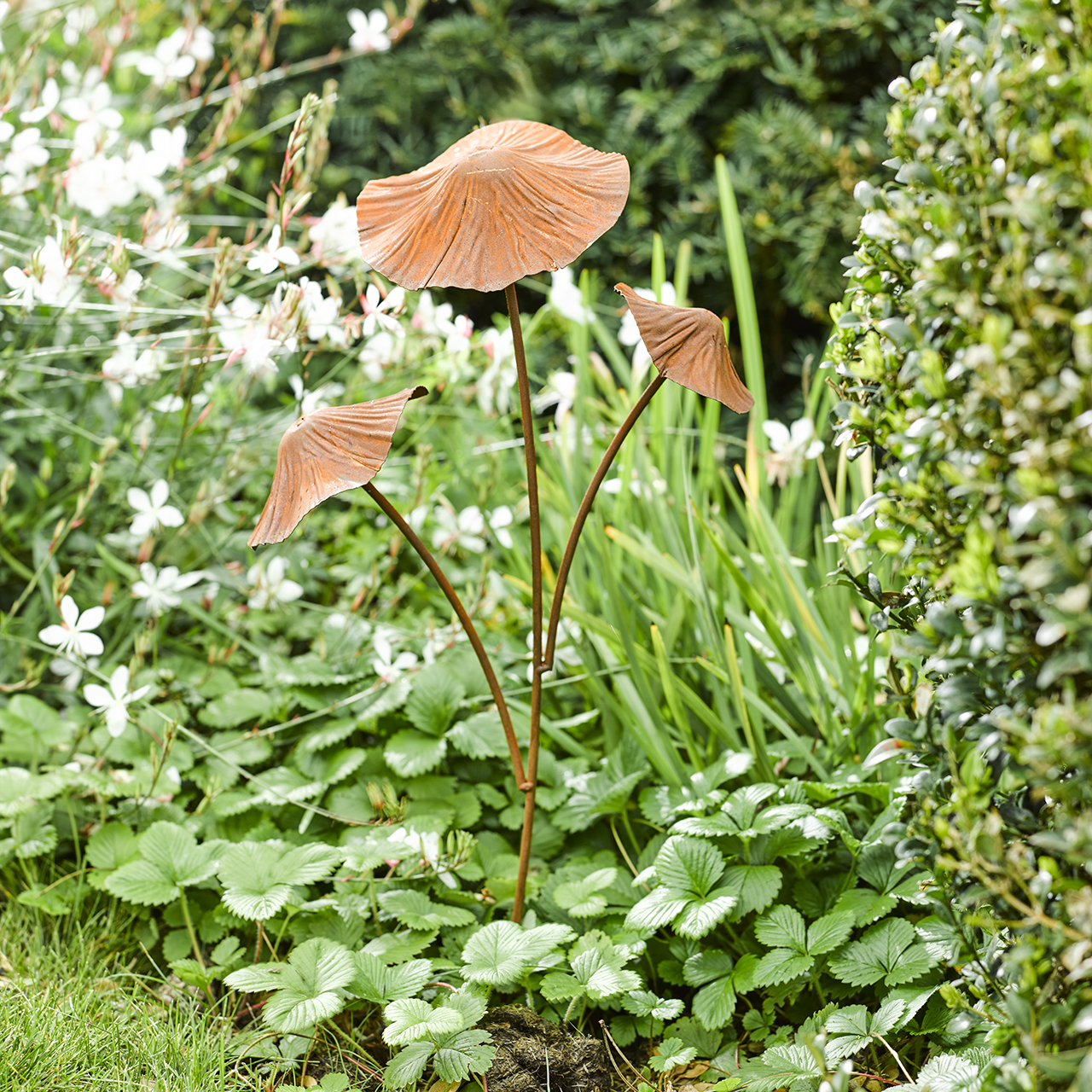 Rust-Look Mushrooms, Set of 2