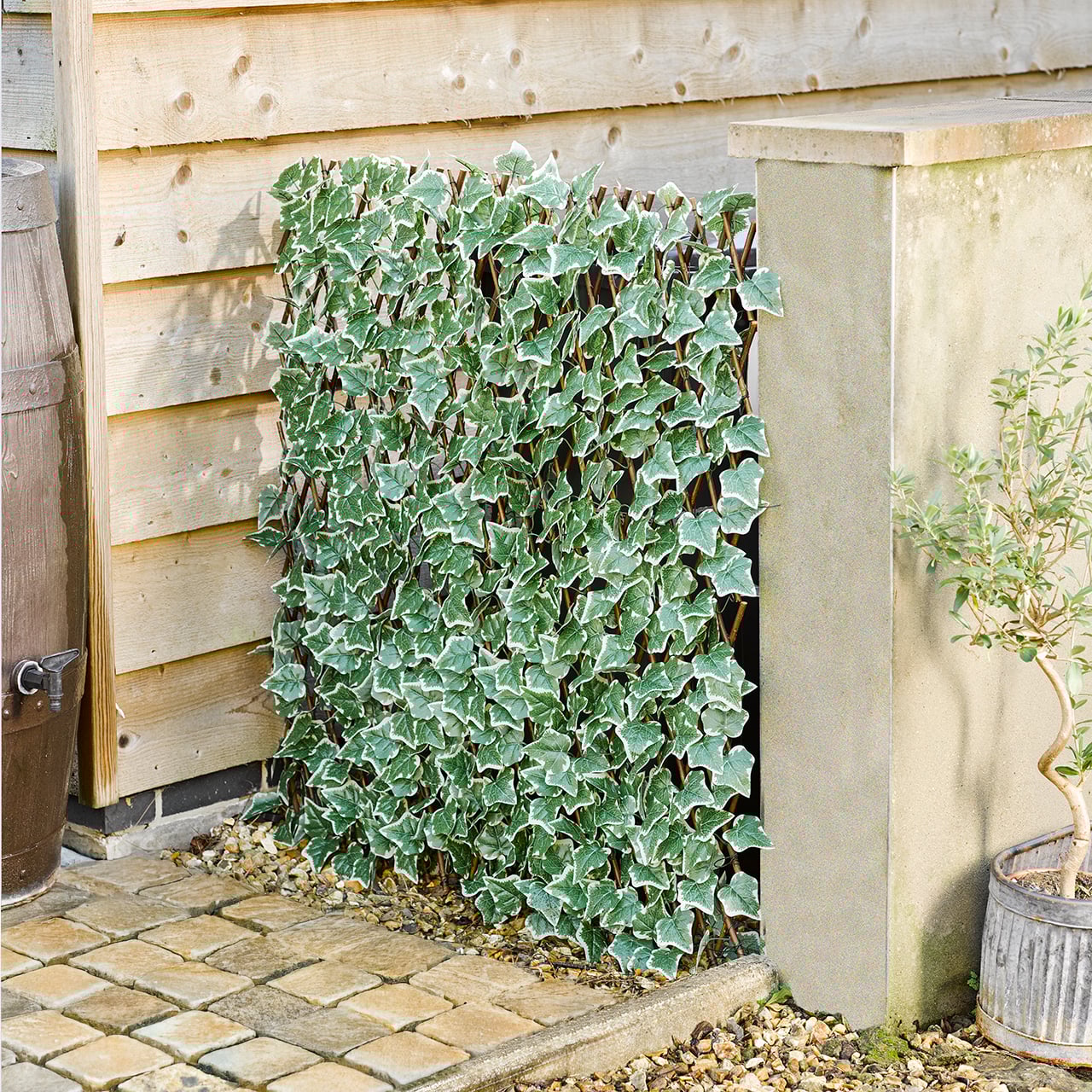 Ivy Expanding Trellis
