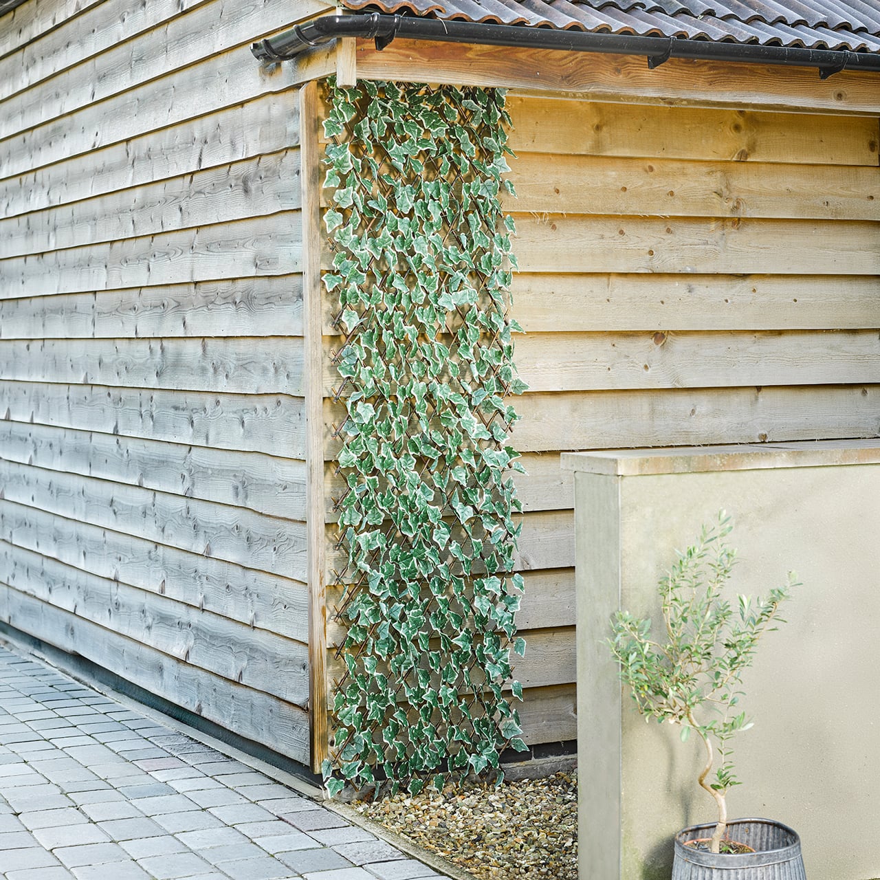 Ivy Expanding Trellis