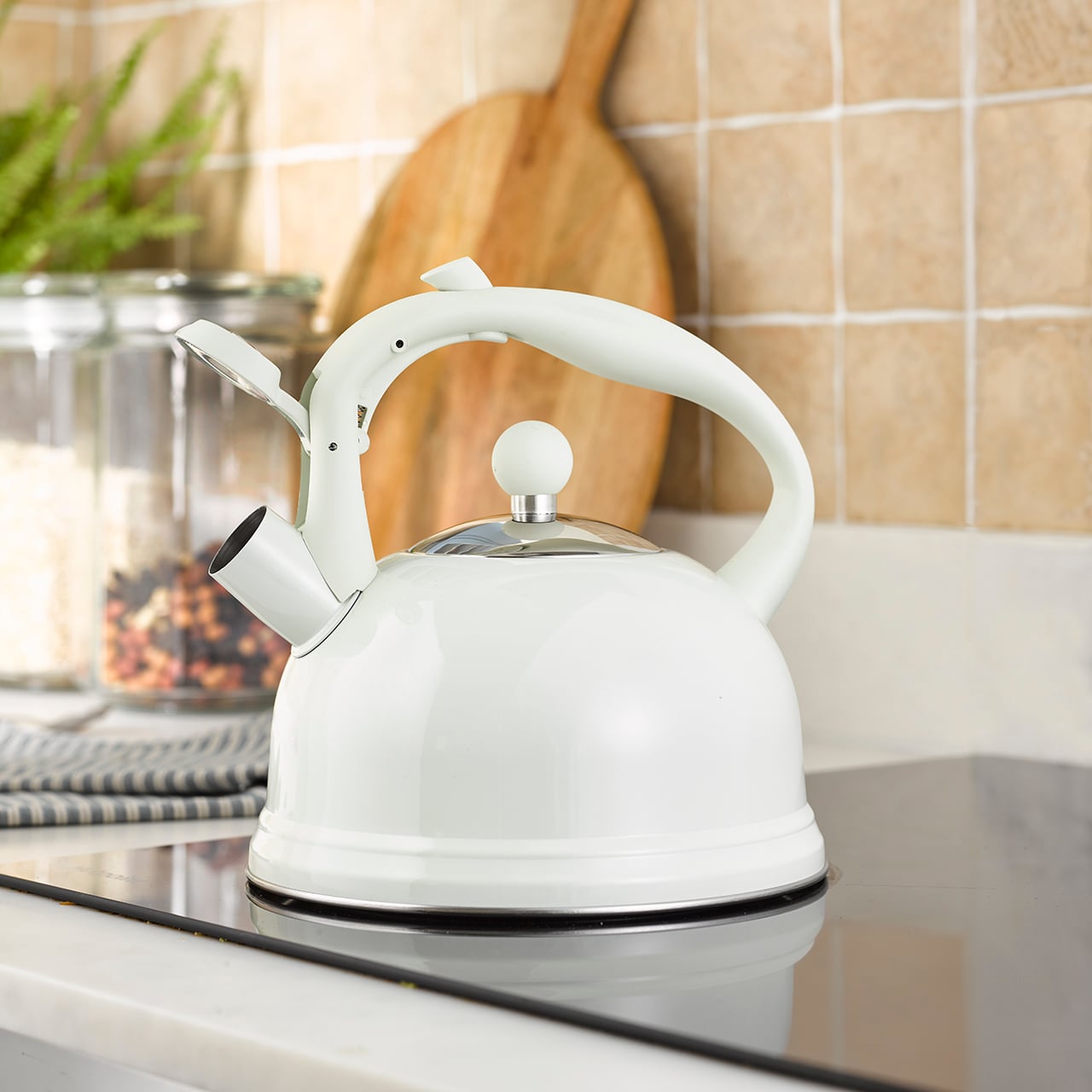 Whistling Stove Top Kettle