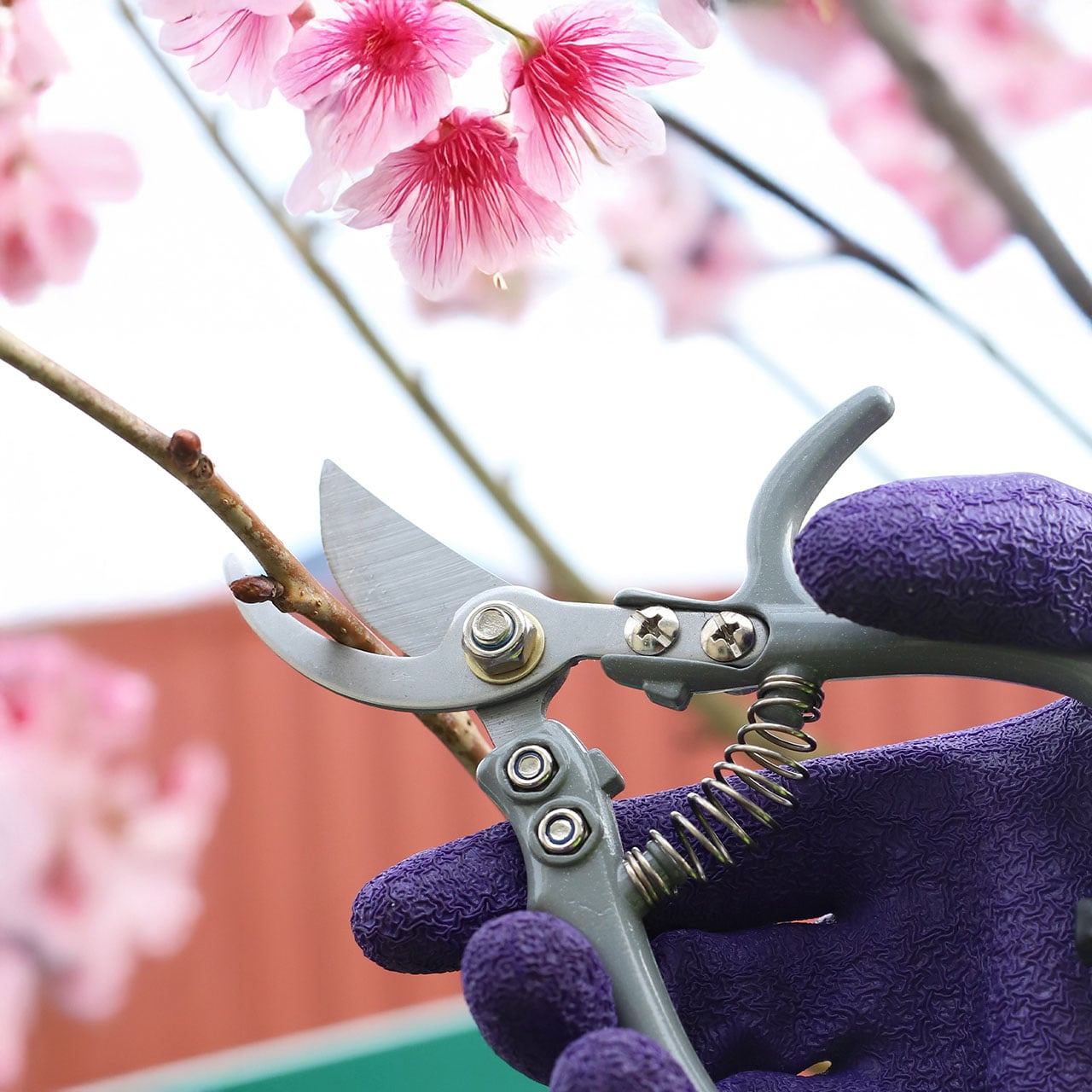 Precision Pruner