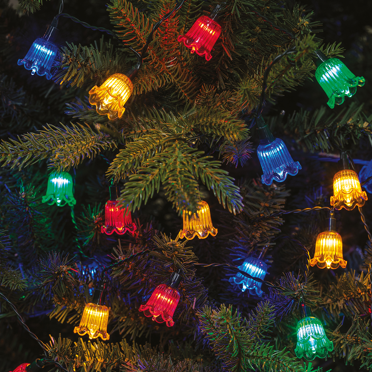 Petal String Lights