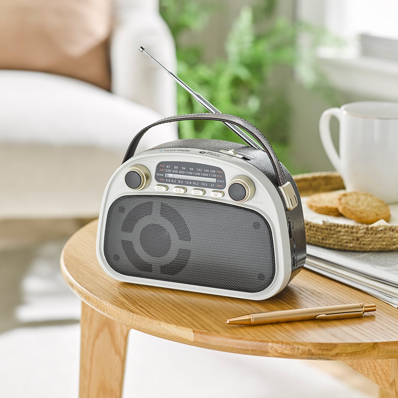Rechargeable Portable Radio