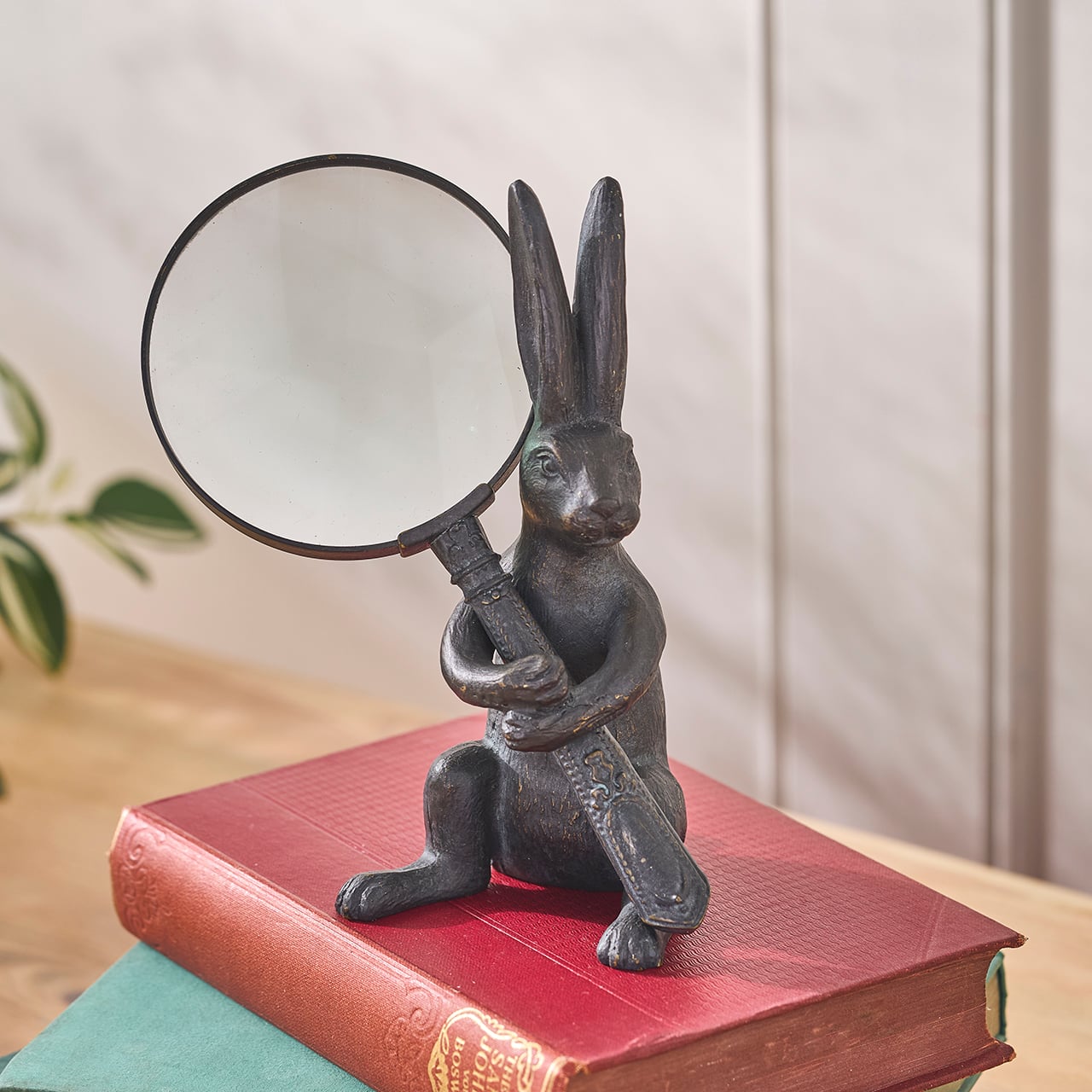 Rabbit Magnifying Glass