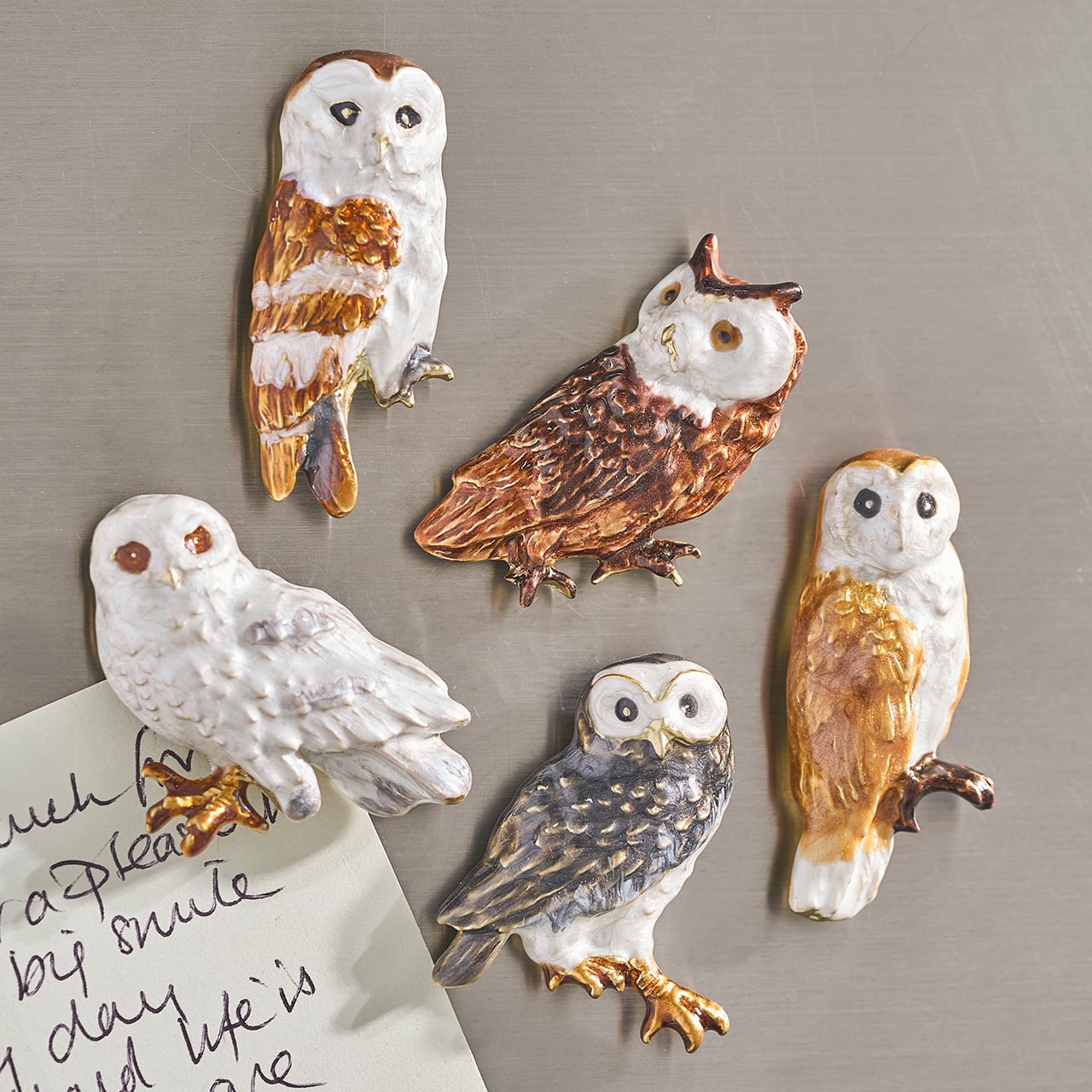 Set of 5 Owl Magnets