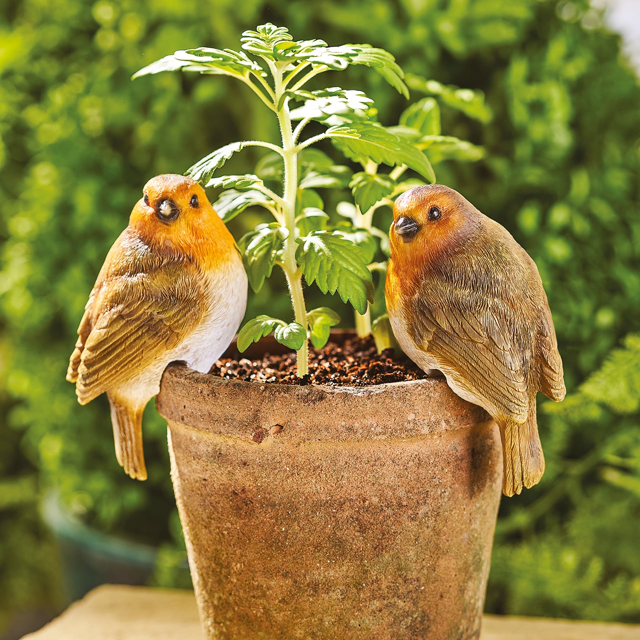 Set of 2 Robin Pot Hangers