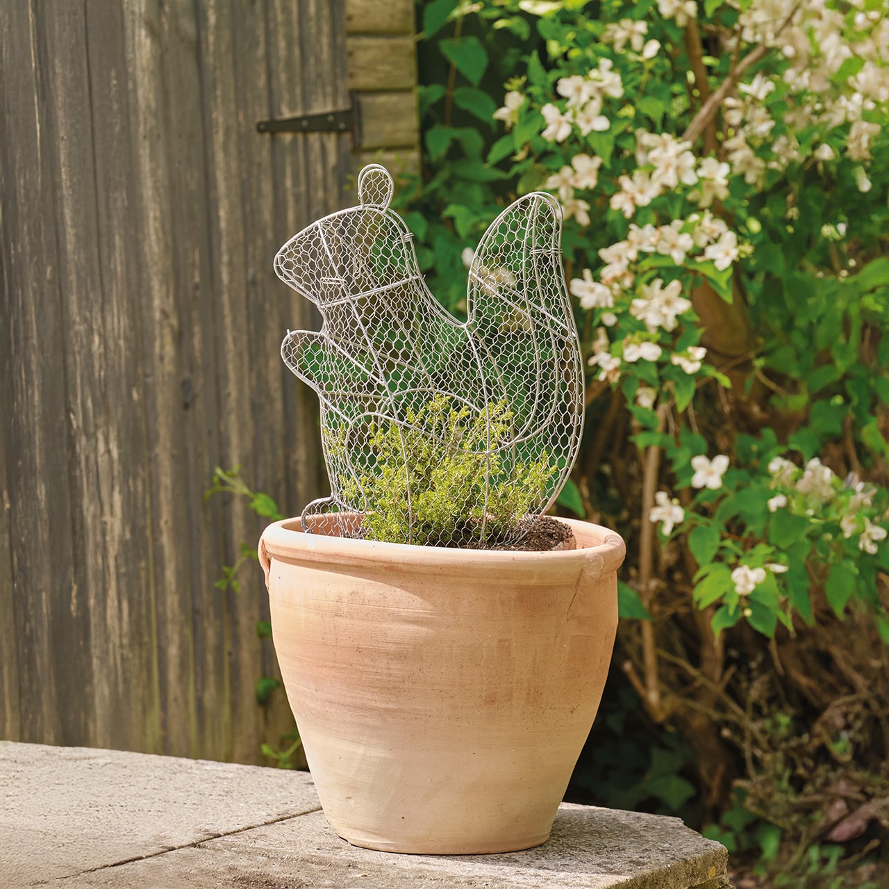 Squirrel Topiary Frame