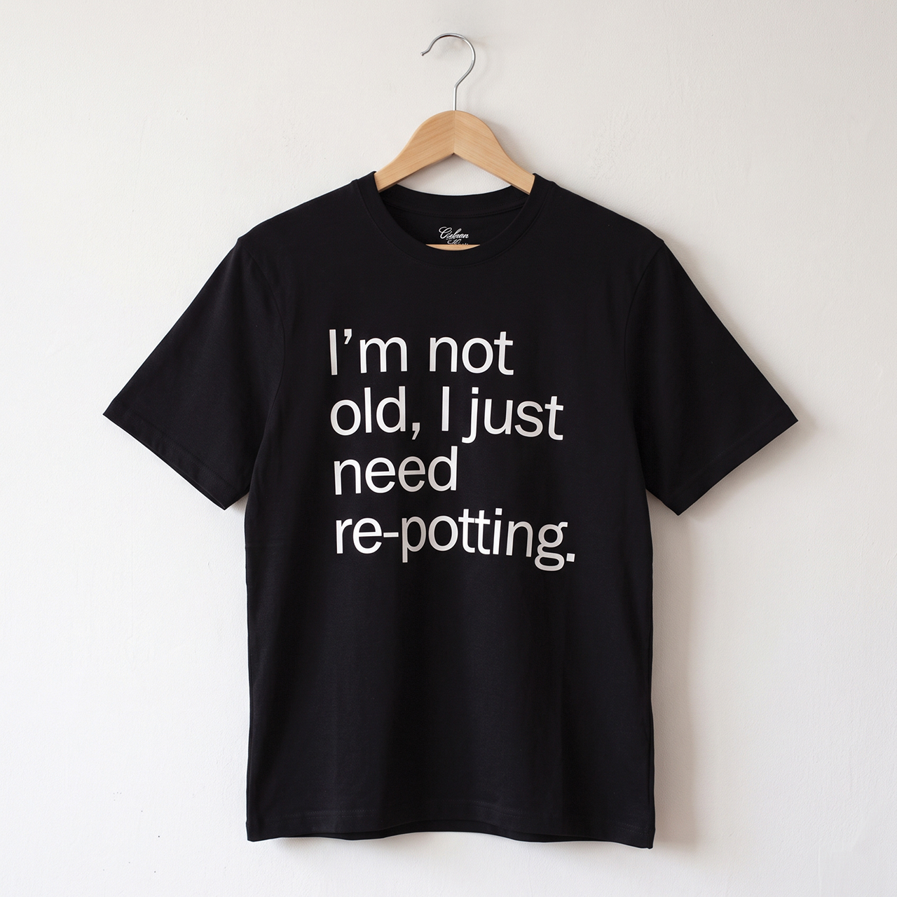 I'm Not Old