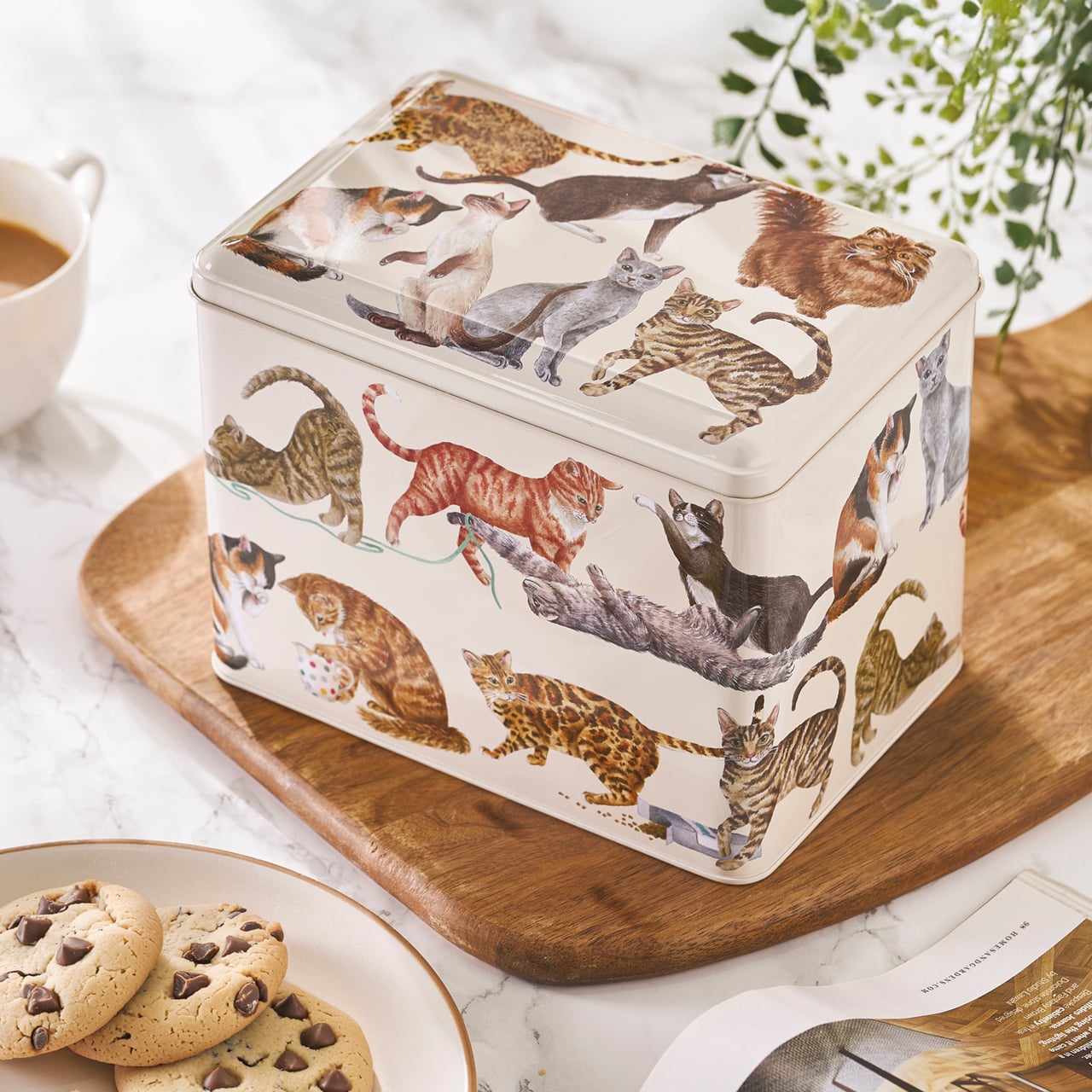 Cat Tin with Biscuits