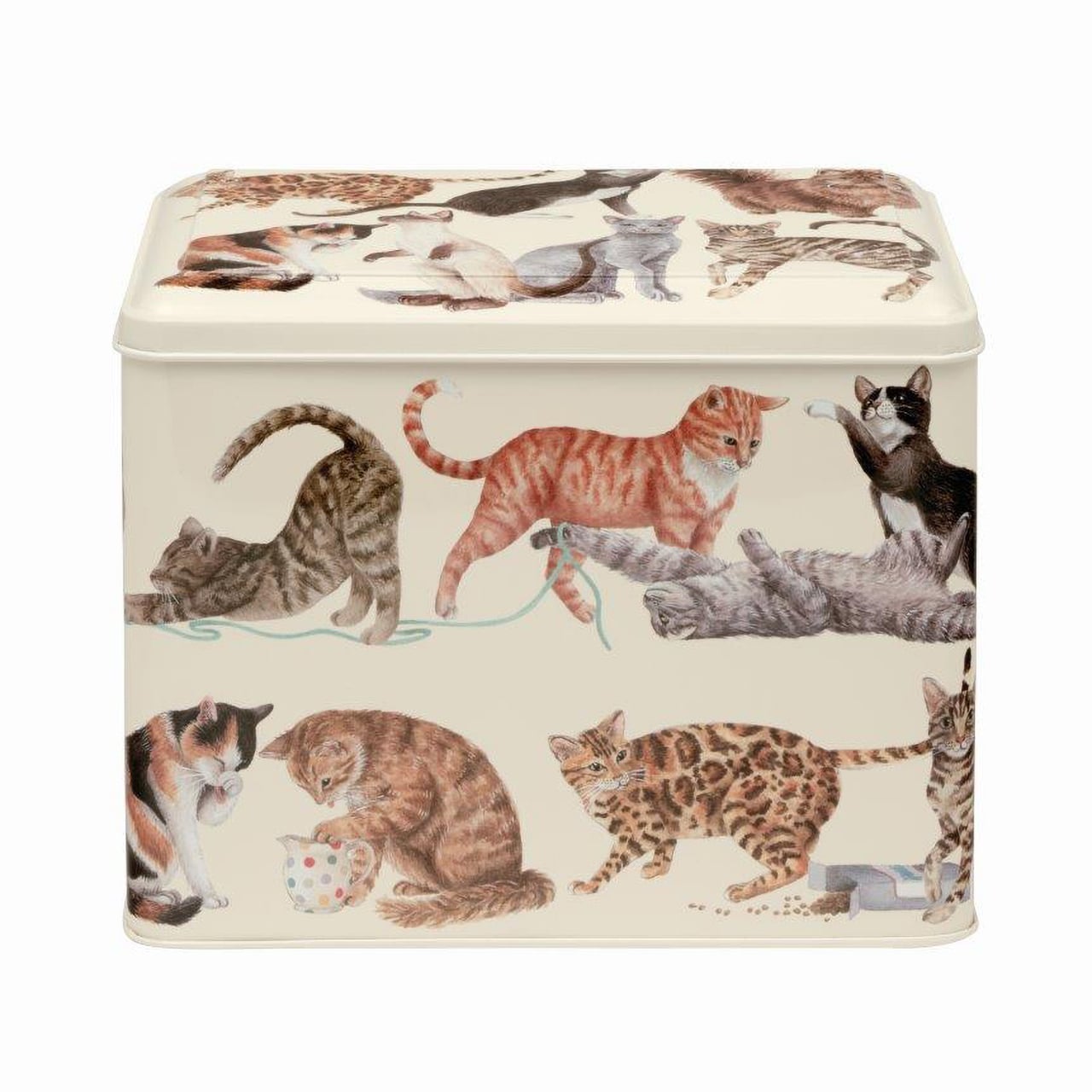 Cat Tin with Biscuits