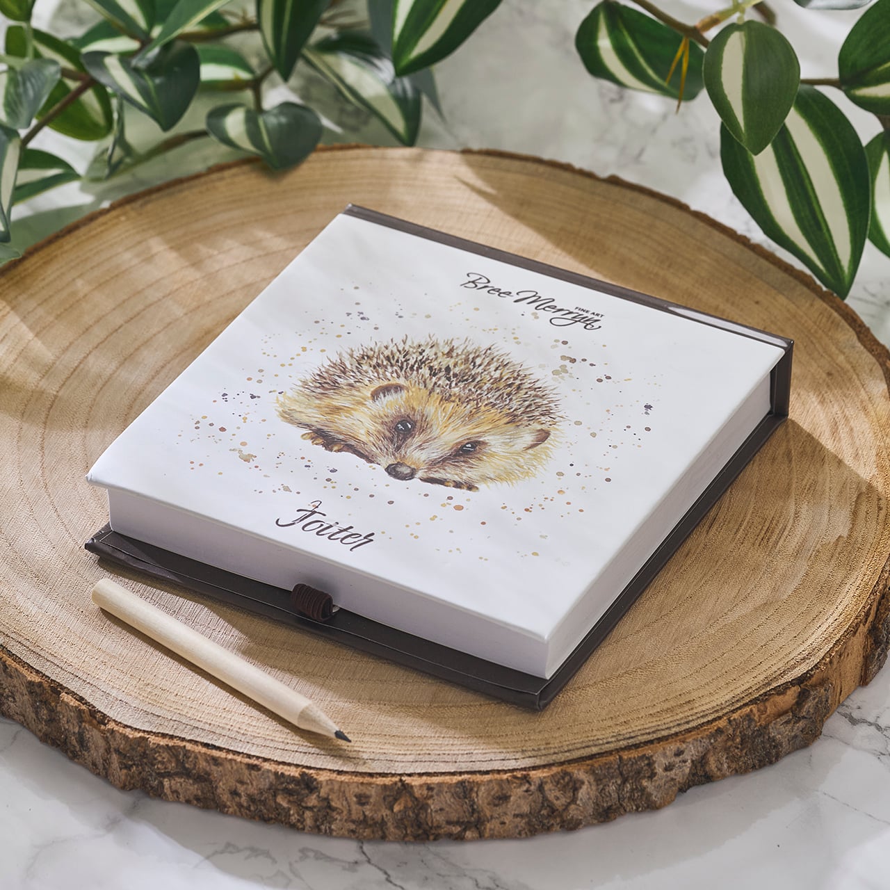 Hedgehog Memo Pad and Pencil