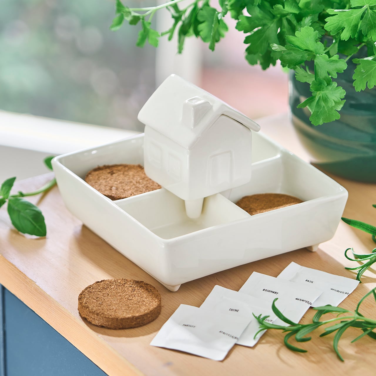 Self Watering House Grow Kit Herb Garden
