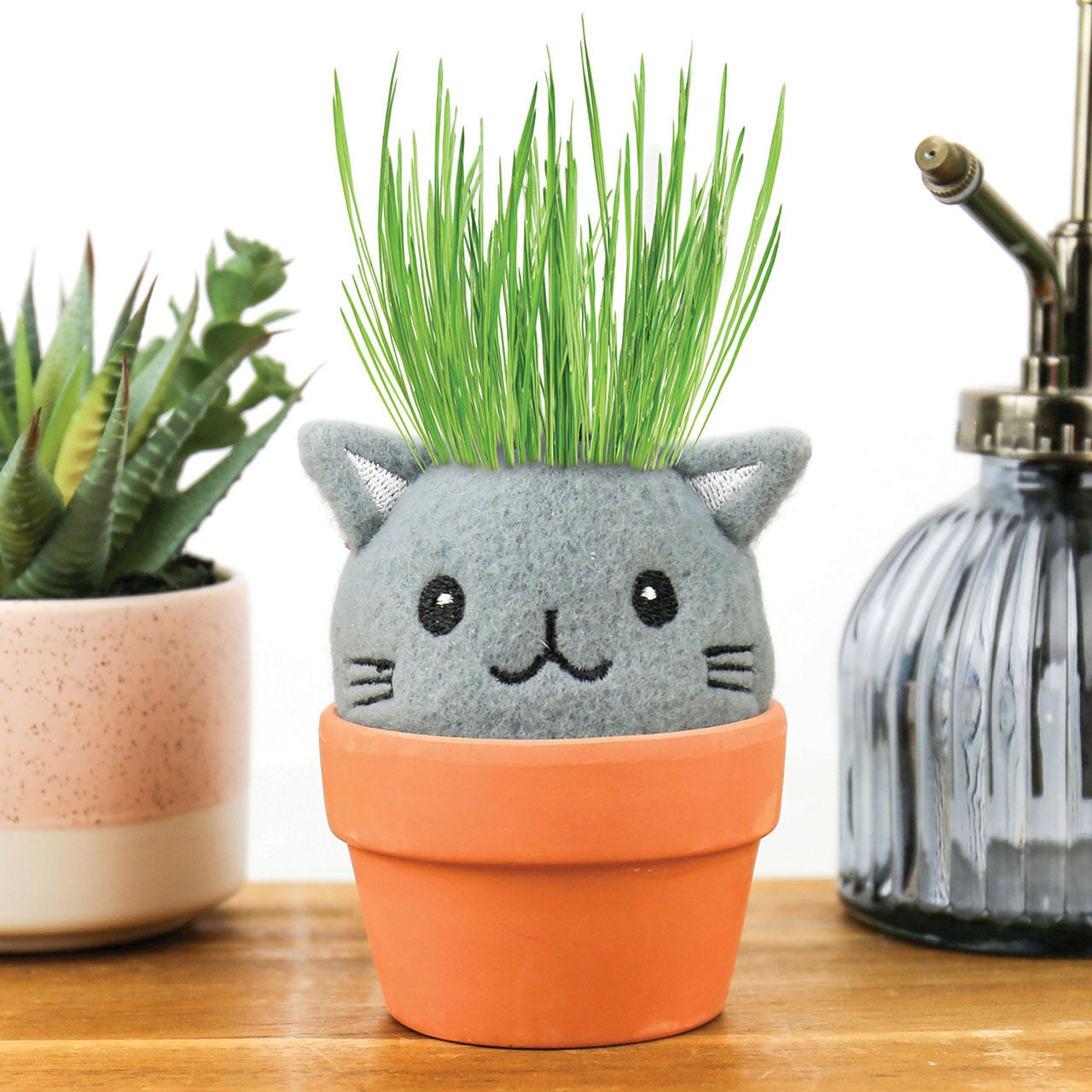 Cat Grow Pal Hair Growing Kit