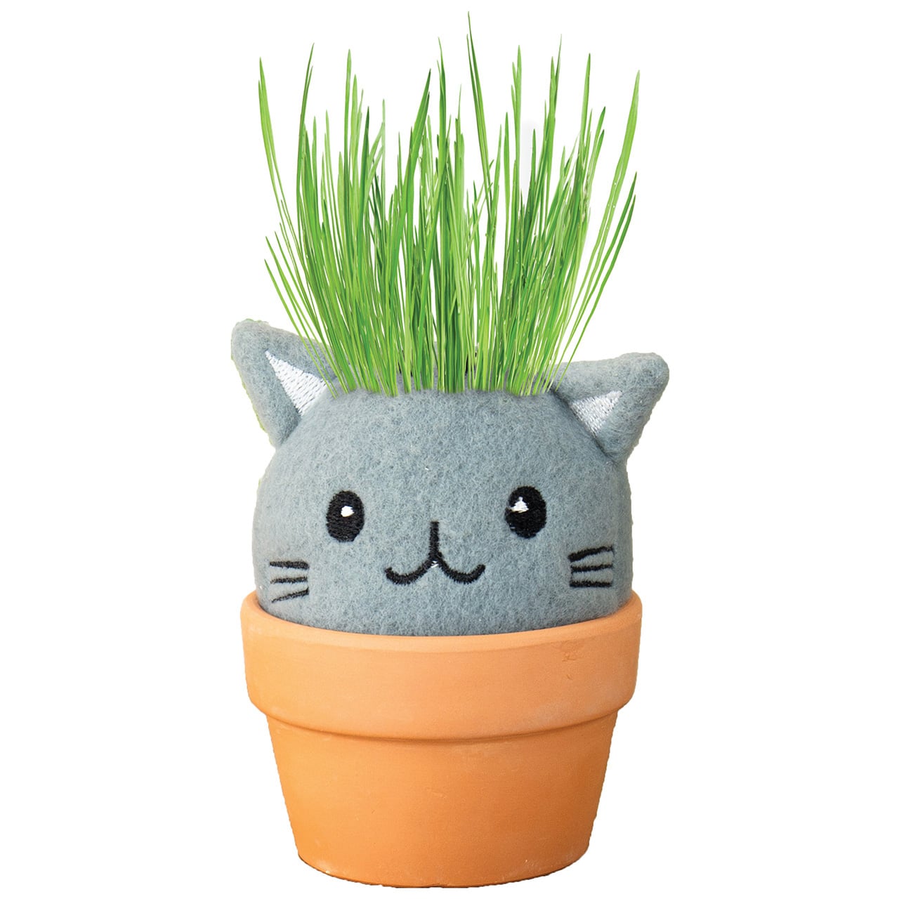 Cat Grow Pal Hair Growing Kit