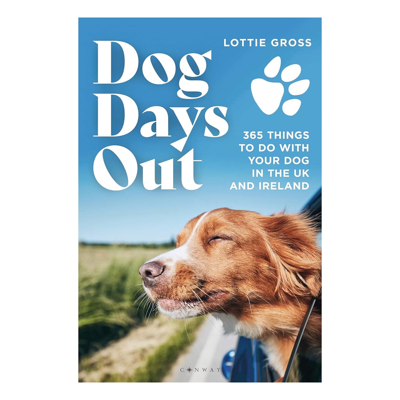 Dog Days Out