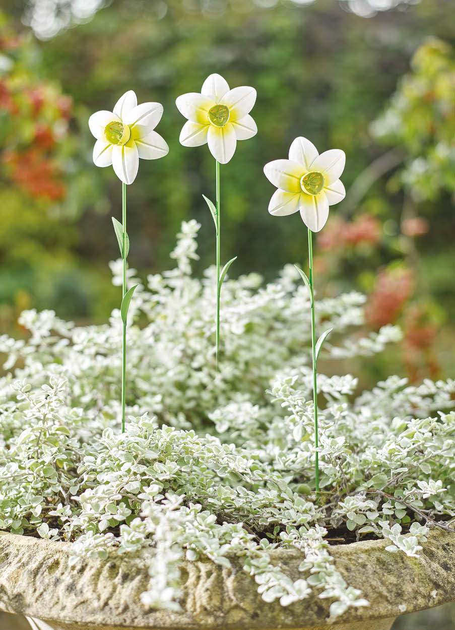 Metal Daffodil Stakes, Set of 3
