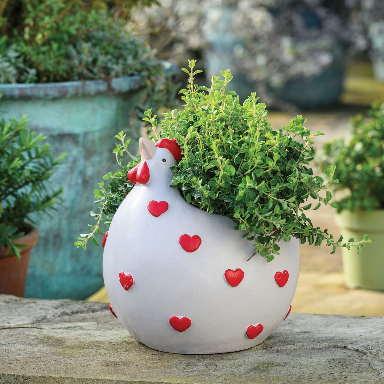 Hearty Hen Planter