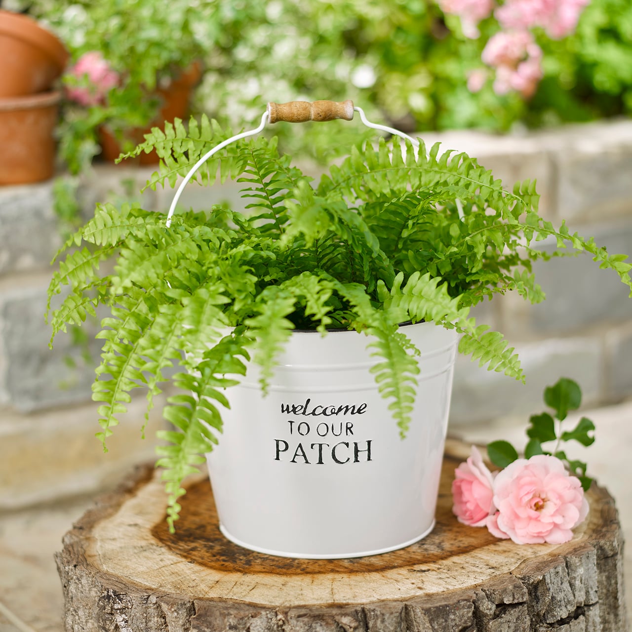 Welcome to our Patch Planter