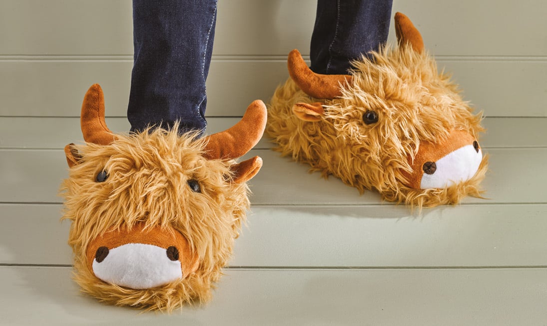 Highland Cow Novelty Slippers