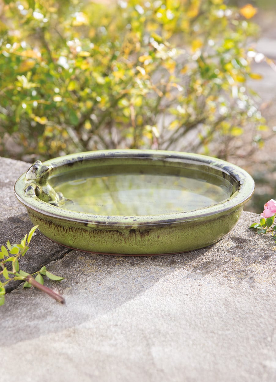 Green round bird bath with frog on the side