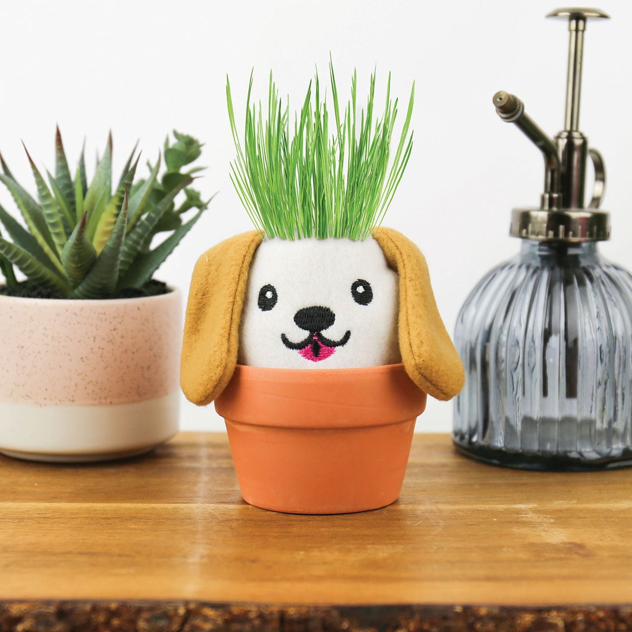Dog Grow Pal Hair Growing Kit